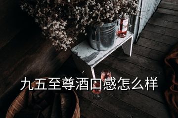 九五至尊酒口感怎么樣