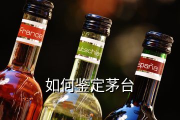 如何鑒定茅臺