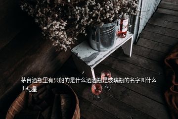 茅臺酒瓶里有只船的是什么酒酒瓶是玻璃瓶的名字叫什么世紀(jì)星