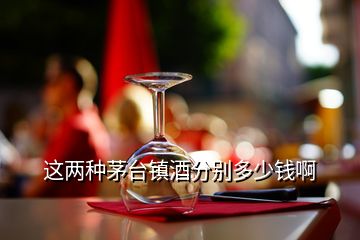 這兩種茅臺鎮(zhèn)酒分別多少錢啊