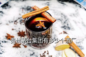 貴州茅臺集團(tuán)有多少個(gè)酒廠