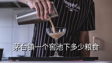 茅臺(tái)鎮(zhèn)一個(gè)窖池下多少糧食