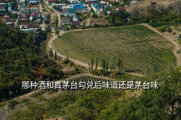 哪種酒和真茅臺(tái)勾兌后味道還是茅臺(tái)味