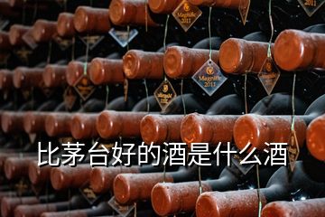 比茅臺(tái)好的酒是什么酒