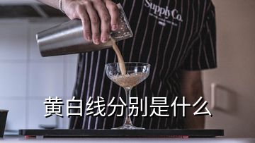 黃白線分別是什么