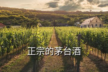 正宗的茅臺(tái)酒