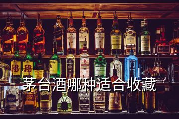 茅臺(tái)酒哪種適合收藏