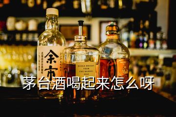 茅臺酒喝起來怎么呀