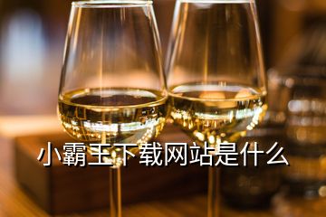 小霸王下載網(wǎng)站是什么