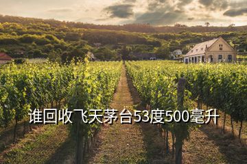 誰回收飛天茅臺53度500毫升