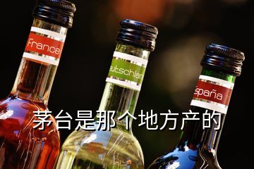 茅臺(tái)是那個(gè)地方產(chǎn)的