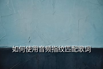 如何使用音頻指紋匹配歌詞