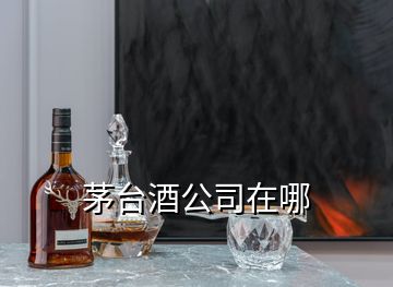 茅臺酒公司在哪