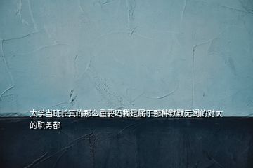 大學(xué)當(dāng)班長真的那么重要嗎我是屬于那種默默無聞的對大的職務(wù)都