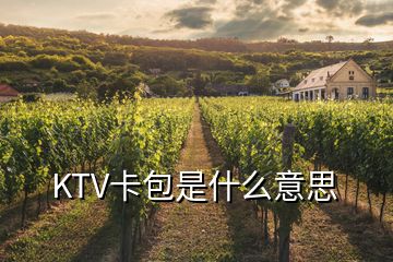 KTV卡包是什么意思