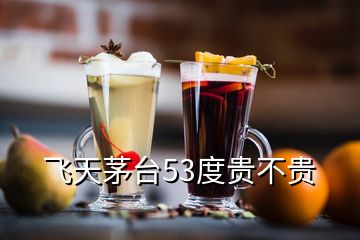 飛天茅臺53度貴不貴