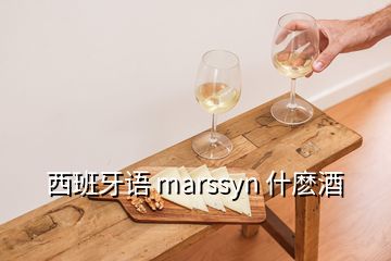 西班牙語 marssyn 什麼酒