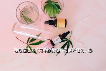 我現(xiàn)在已買了票手續(xù)費(fèi)沒有報(bào)銷憑證怎么辦