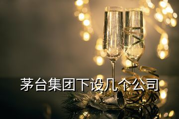 茅臺(tái)集團(tuán)下設(shè)幾個(gè)公司