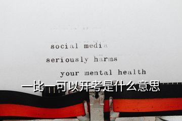 一比一可以開考是什么意思