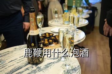 鹿鞭用什么泡酒