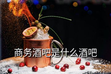 商務(wù)酒吧是什么酒吧