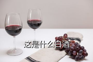 這是什么白酒