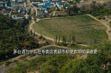 茅臺(tái)酒為什么在專賣店貴超市卻便宜明明渠道更