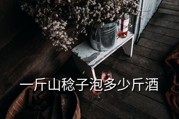 一斤山稔子泡多少斤酒