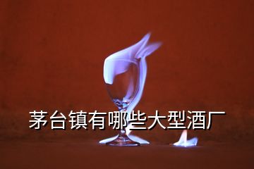 茅臺鎮(zhèn)有哪些大型酒廠