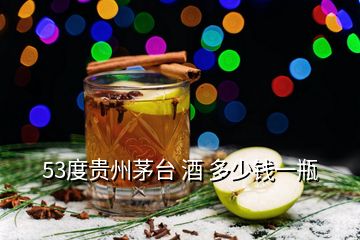 53度貴州茅臺(tái) 酒 多少錢(qián)一瓶