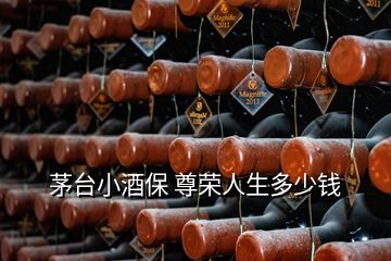 茅臺(tái)小酒保 尊榮人生多少錢