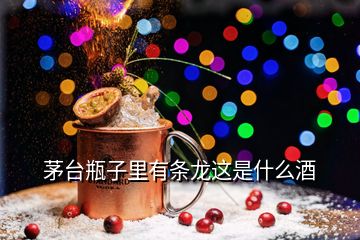 茅臺(tái)瓶子里有條龍這是什么酒