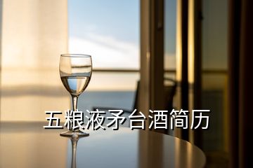 五糧液矛臺(tái)酒簡(jiǎn)歷