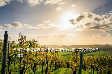 貴州茅臺鎮(zhèn)酒華泰酒業(yè)有限公司有什么酒52度的和茅臺飛天酒差不