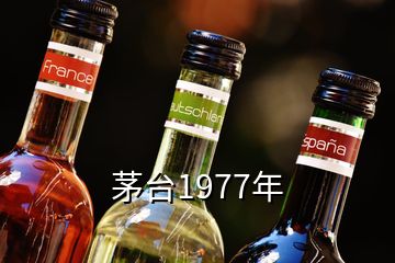 茅臺1977年