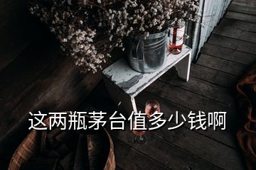 這兩瓶茅臺(tái)值多少錢啊