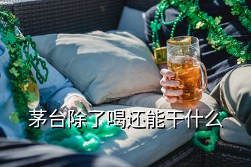 茅臺除了喝還能干什么