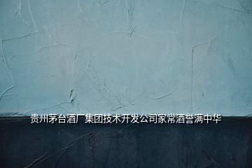 貴州茅臺酒廠集團技術開發(fā)公司家常酒譽滿中華