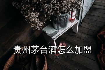 貴州茅臺酒怎么加盟