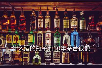 什么酒的瓶子和30年茅臺很像