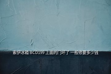 索伊冰箱 BCD199 上面的門壞了 一般修要多少錢