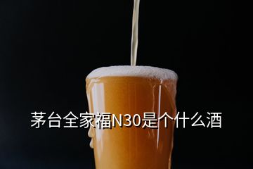 茅臺全家福N30是個(gè)什么酒