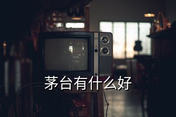 茅臺(tái)有什么好