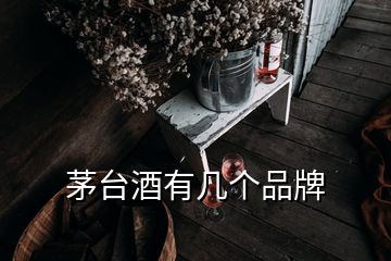 茅臺酒有幾個品牌