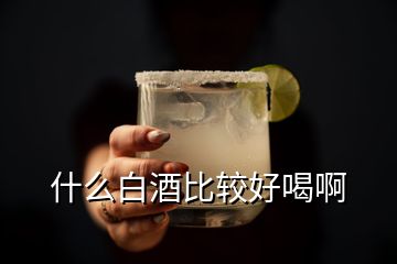 什么白酒比較好喝啊