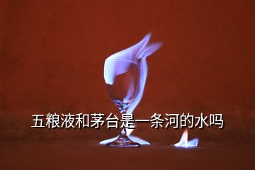 五糧液和茅臺是一條河的水嗎