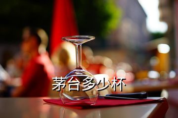 茅臺(tái)多少杯