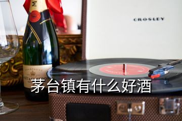 茅臺(tái)鎮(zhèn)有什么好酒