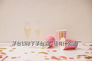 茅臺鎮(zhèn)除了茅臺酒廠還有什么酒廠